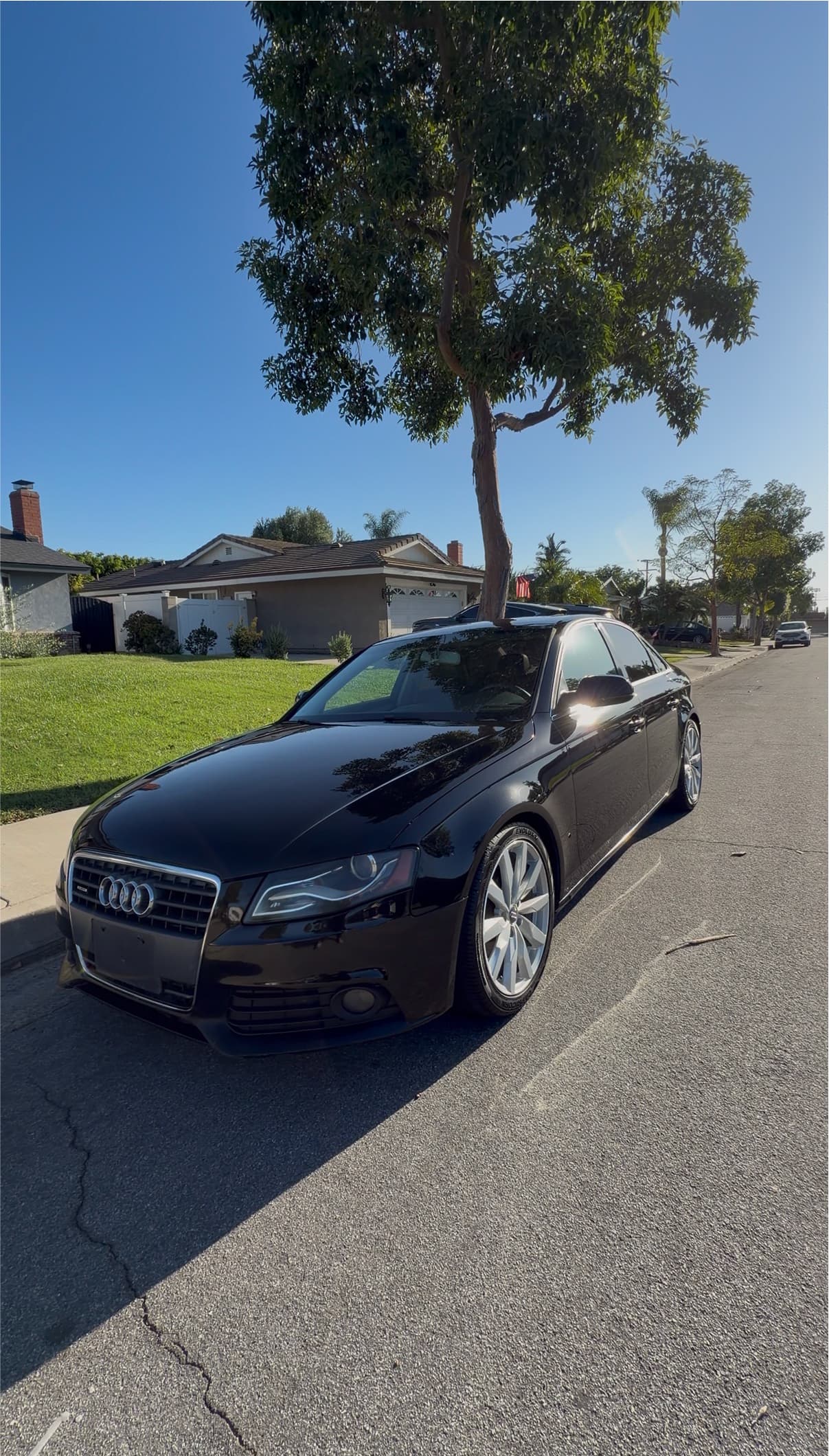 Paint Correction